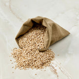 Roasted sprouted sesame seeds in a burlap sack with scattered seeds