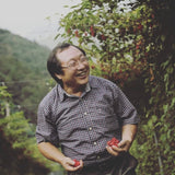 Omija extract red berries held in hands outdoors