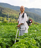 Potato noodles field worker holding a long tool among green plants