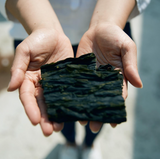 Dried sea mustard sheet held in hands, dark green and crinkled