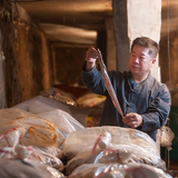 Grilled cutlassfish with ssamjang, cook holding grilled fish at prep station