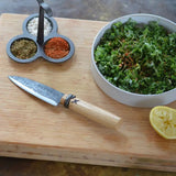 Fruit knife on cutting board with light wooden handle and dark stamped blade