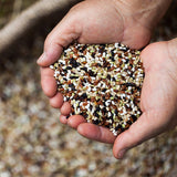 Organic Five-Colored Rice - Kim'C Market