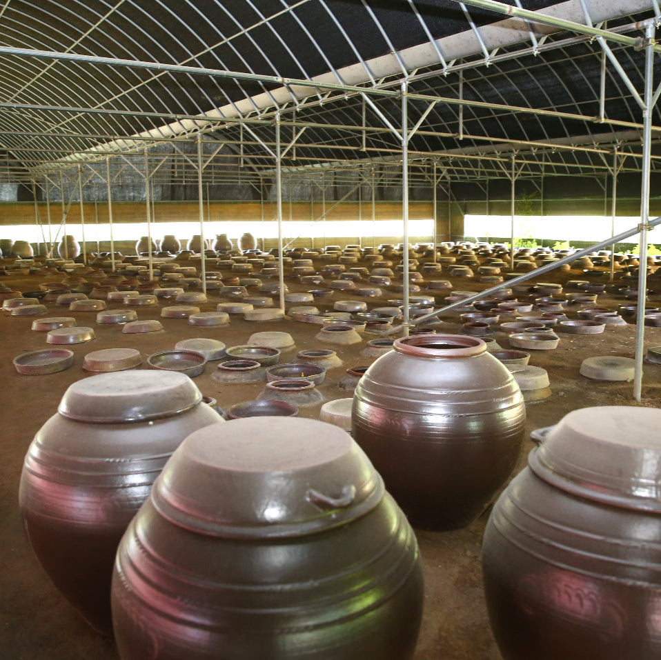 Fruit vinegar storage: large fermentation jars in an indoor facility