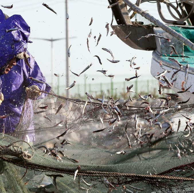 Fishing net with scattered small fish in the air