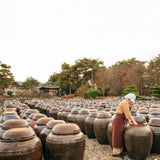 Earthenware jars filled with doenjang outdoors