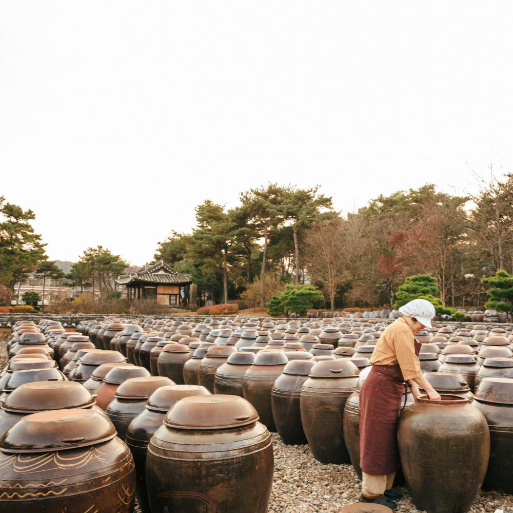 Earthenware jars filled with doenjang outdoors