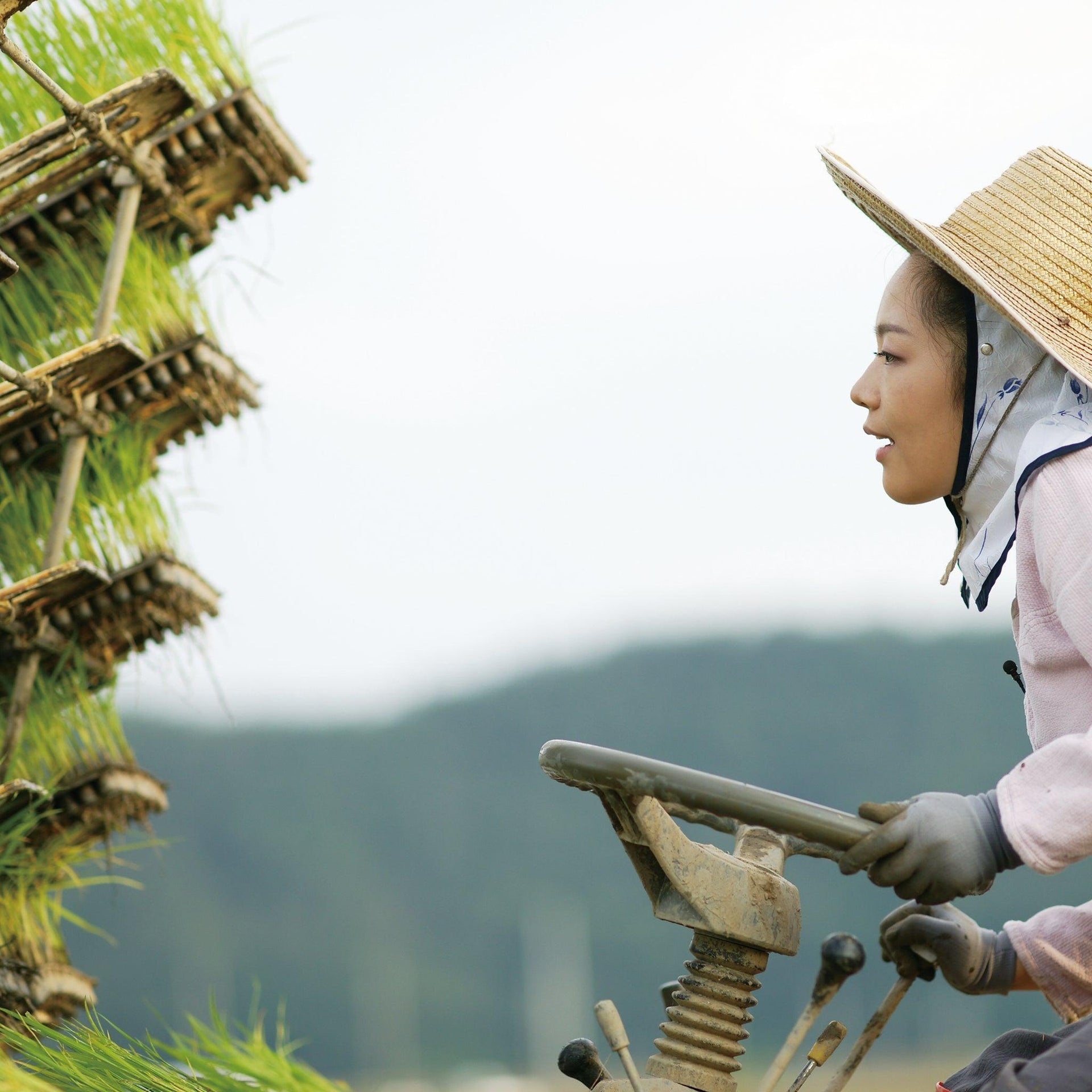 Organic Five-Colored Rice - Kim'C Market