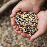 Organic Five-Colored Rice - Kim'C Market
