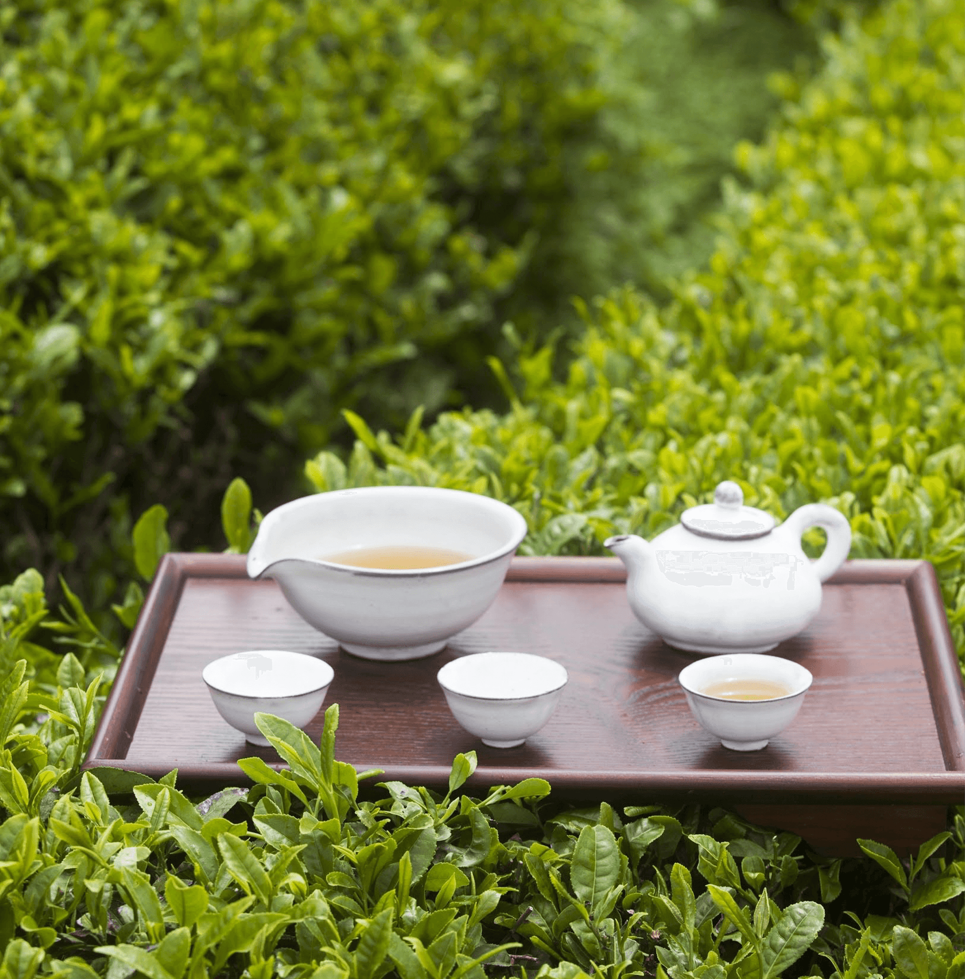 Organic Mugwort Tea - Kim'C Market