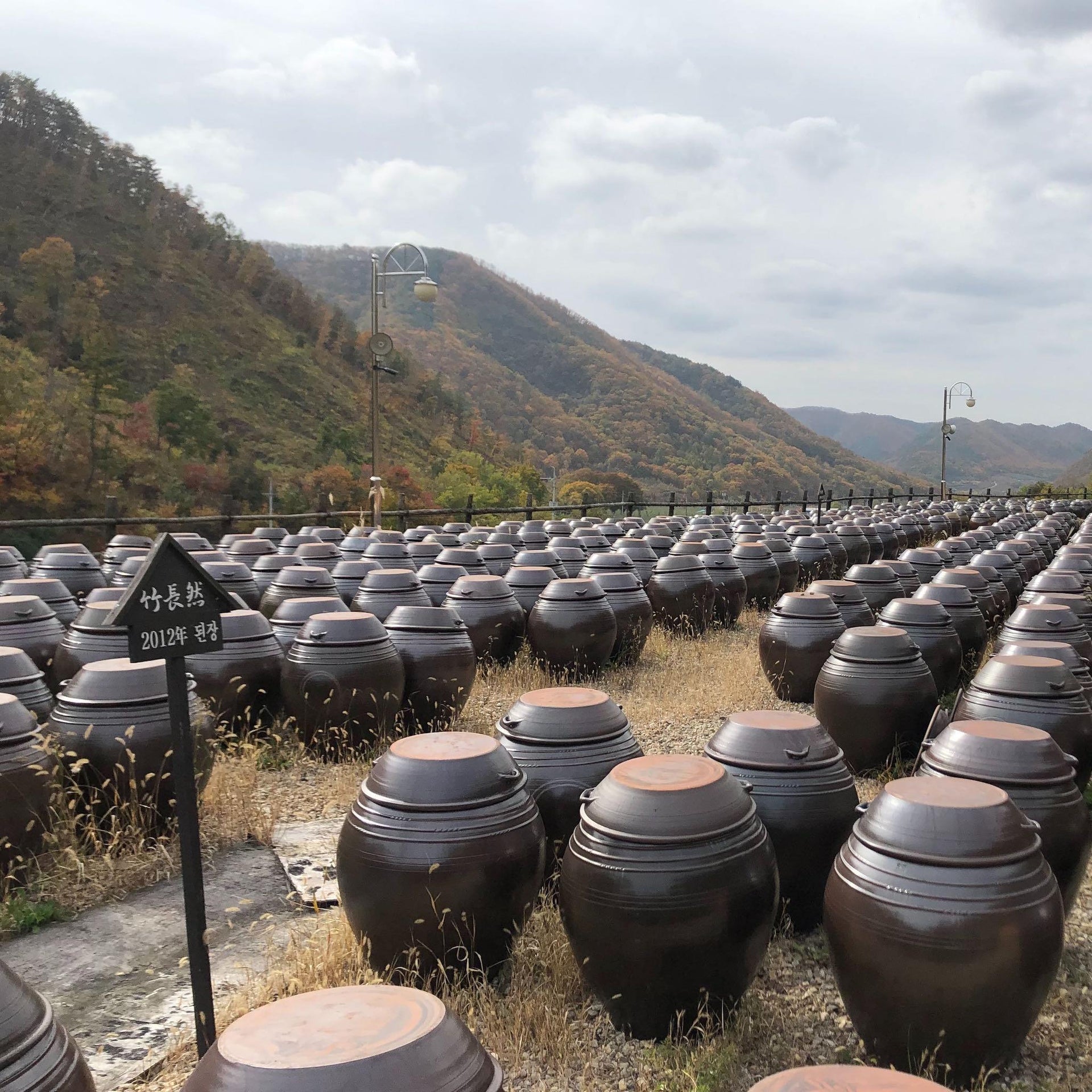 Rows of dark ceramic gochujang jars outdoors on hillside