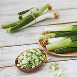 Sliced green onions with ring slices, whole stalks, and chopped rings in a bowl
