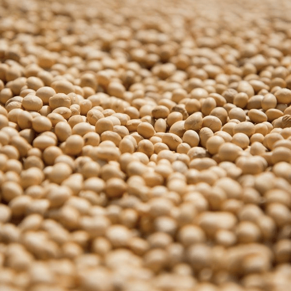 Yellow Soybean - Kim'C Market